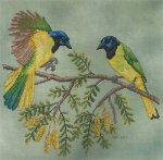 (image for) Green Jays